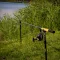 NEVIS Vanity Carp Picker 270 20-50g