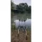 NEVIS Vanity Carp Feeder 300XH 50-180g