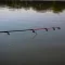 NEVIS Vanity Carp Feeder 360XH 50-140g