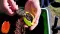 Cralusso Yellow SHELL Method Quick charger