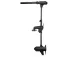 Haswing Protruar 2.0 85 lbs 12V 