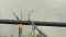 Czero Competition Series F1 360 50-80g