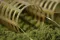 GURU X-change Distance feeder medium 20g + 30g (2db)