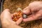 GURU Window Feeder Medium 50g + 60g (2db)