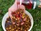 Haldorádó Carp Syrup - Fekete Tintahal