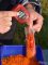 Haldorádó Micro Pellet -  Kiwi