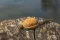 Preston Ics Inline Dura Flat Method Feeder - Mini 15g