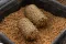 Preston ICS BAIT UP FEEDER - LARGE 20g