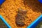 Preston Wire Bait Up Feeder 55X40mm 20g