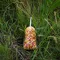 Stég Pellet Mix 3mm 800g Sweet Corn