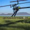Stég Pop Up Smoke Ball 8-10mm 10g Mango